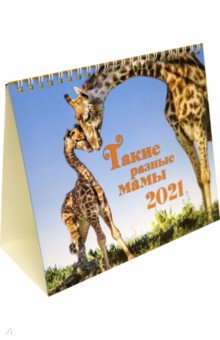 Календарь-домик на 2021 год (евро). Такие разные мамы
