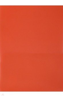 Папка-уголок, 2 внутренних кармана, A4, пластик, красная (E570RED)