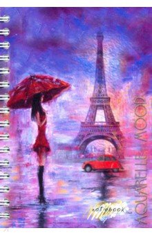 Записная книжка 100 листов, А6, гребень, Дождь в Париже (С0592-106)