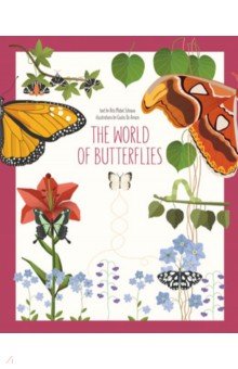 World Of Butterflies