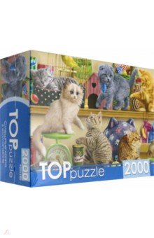 TOPpuzzle-2000 "Смешные котята" (ХТП2000-1596)