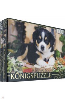 Puzzle-1000 "Щенок швейцарского зенненхунда" (ШТK1000-0645)