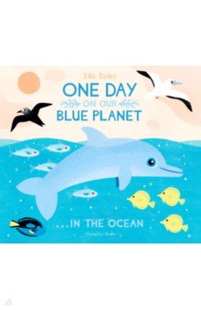 One Day on our Blue Planet… In the Ocean