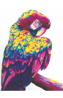 Рисование по номерам 40*50 Попугай поп-арт (H140)