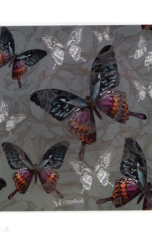 Тетрадь "Бабочки", А5, 48 листов, линейка (С2549-72)
