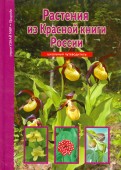 Растения из Красной книги России