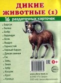 Раздаточные карточки "Дикие животные -1" (16 карточек)