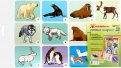 Комплект плакатов "Животные разных широт". ФГОС