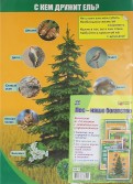 Комплект плакатов "Лес - наше богатство". 4 плаката с методическим сопровождением. ФГОС