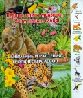 Животные и растения тропических лесов