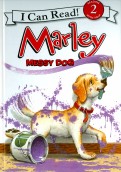 Marley. Messy Dog