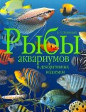 Рыбы аквариумов и декоративных водоемов