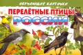 Карточки "Перелетные птицы России"