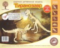 Комплект из 2-х сборных деревянных моделей "Тиранозавр" (J020)