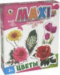 Макси-пазлы "Цветы" (50234/03534)