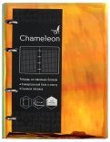 Тетрадь на кольцах 120 листов "Chameleon. Оранжевая" (ПБП1204608)