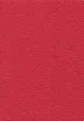Ежедневник датированный на 2019 год "Шагрень" (352 страницы, А5, красный) (47427)