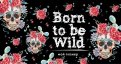 Мой планер. Кактус в Мексике: Born to be Wild