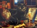 Холст "Чёрный кот на книге" (40х50 см) (Х-3467)