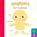 Anatomy for Babies (board book)