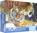 TOPpuzzle-500 "Два тигра" (КБТП500-6797)