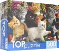 TOPpuzzle-500 "Игривые котята" (ХТП500-6809)