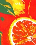 Холст для рисования по номерам "Сочные апельсины" (30х40 см) (KTL620)