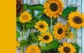 Альбом для рисования "Солнечные цветы" (40 листов, А4) (А401888)