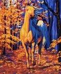 Рисование по номерам "Конь в лучах заката" (40х50 см) (H056)
