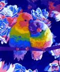 Рисование по номерам "Влюбленные попугаи" (40*50) (H065)