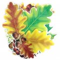 Комплект украшений "Осенние листья" (КМ-10686)