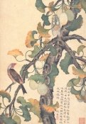Блокнот "Слива, птица, жук. XVII век" (18 листов, А6, нелинованный)