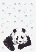 Блокнот "Панда и лёд" (18 листов, А6, нелинованный)