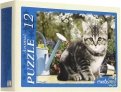 Puzzle-12 "Забавные котята" (П12-0619)