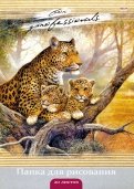 Папка для рисования "Семейство леопардов" (20 листов, А4) (20-3221)