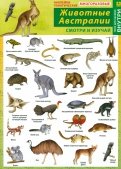 Животные Австралии. Наклейки тематические