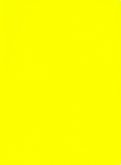 Тетрадь общая "Желтый неон" (80 листов, А4-, клетка) (ТКИКН4804518)