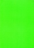 Тетрадь общая "Зеленый неон" (80 листов, А4-, клетка) (ТКИКН4804519)