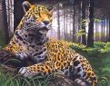 Рисование по номерам "Леопард в лесу", 40х50 см (H072)
