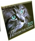 Календарь-домик на 2021 год (евро). Породистые кошки
