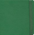 Ежедневник недатированный "Quadro. Зеленый". А5 (24730/15)