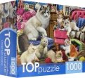 Puzzle-1000 Озорные котята (ХТП1000-2158)