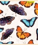 Тетрадь 48 листов, Бабочки, 4 вида (812016-55)