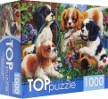 Puzzle-1000 Озорные щенки спаниелей (ХТП1000-2159)