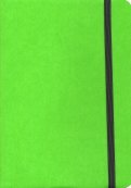 Ежедневник недатированный А5 Shady лаймовый, зеленый обрез (24700/19)