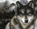 Рисование по номерам "Волк в туманном лесу", 40х50 см (H092)