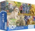 TOPpuzzle-2000 "Смешные котята" (ХТП2000-1596)