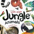 Life-size: Jungle Animals