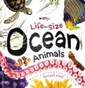 Life-size: Ocean Animals