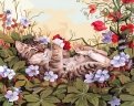 Живопись на холсте "Кошкины забавы", 30х40 см (103-AS)